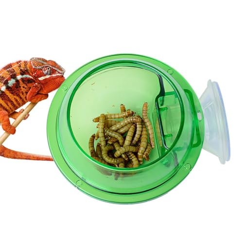 Reptile Feeding Dish with Strong Suction Cup, Translucent Anti-Escape Worm Food Bowl, Live Fodder Water Container, Green, 1PC (Green) - color: Green