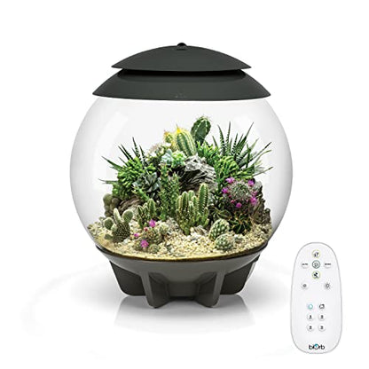 biOrb AIR 30, Fully Automated Terrarium for Arid, Temperate, or Tropical Plants, Gray - color: Grey