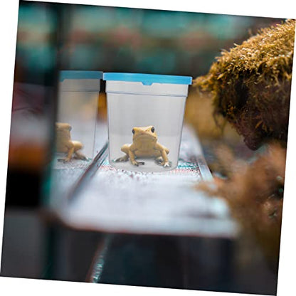 Hemoton Transparent Reptile Feeding Box with Lid Mini Insect Cup for Tortoise Betta and Frogs Safe Durable Container for Pets and Easy Feeding