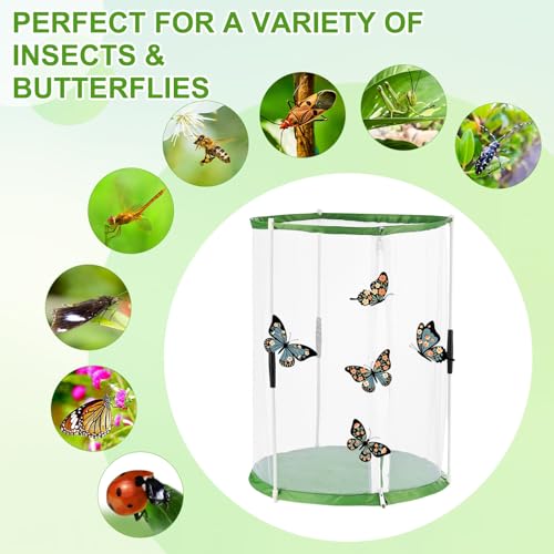 M METERXITY Butterfly Habitat Cage Terrarium, Outdoor Collapsible Mesh Pop-up with Zipper Protection for Breeding Butterfly/Ladybug, Mesh Plant Enclosure [White with Green, 12 x 12 x 16 Inch] - size: 12 x 12 x 16 Inch