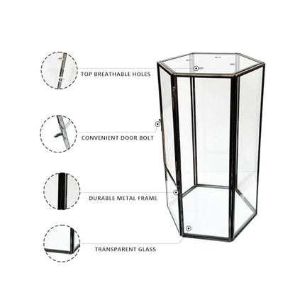Jumping Spider Accessories, Glass Front Opening Terrarium with Metal Frame and Vent Holes, Insect Habitat Enclosure for Jumping Spiders, Black Widows, Praying Mantis