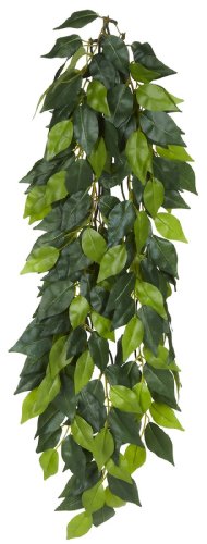 Exo Terra Silk Terrarium Plant, Large, Ficus - color: Multi Color, size: Large