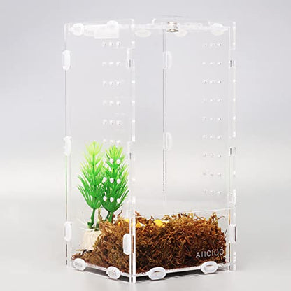 Aiicioo Micro Habitat Terrarium Enclosure 4x4x8 Inches Tarantula Enclosure Box Insect Habitat Clear Acrylic Reptile Feeding Tank for Jumping Spiders Insect Small Tree Dwelling Reptiles - size: 4x4x8 Inches
