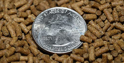 Wpc-Co. Aquarium Shrimp Food - Sinking Pellets for Aquatic Shrimp, Snail, Bottom Feeders - Complete Nutrition for Tropical Shrimps and Other Invertebrates