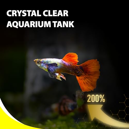 Purify Series for Tetra Fish Food | Small Tropical Sinking Pellets, Suitable for Betta, Guppy Fish, All Natural Ingredients, 2.65 oz - style: Small Tropical Fish