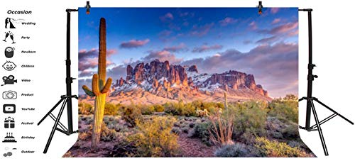 Leyiyi 6x4ft Arazona Mountain Cactus Photography Background Desert Sunset Summit Western American Travel Hiking Desert Flora Cloud Desolate Cowboy Polyester Backdrop Terrarium Background - color: Desert1, size: 6x4ft-P