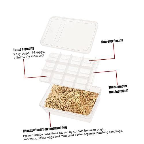 NOLITOY Compartment Isolation Box for Reptile Egg Incubation Hatching Box for Snakes Turtles Geckos and Lizards Easy to Clean and Manage