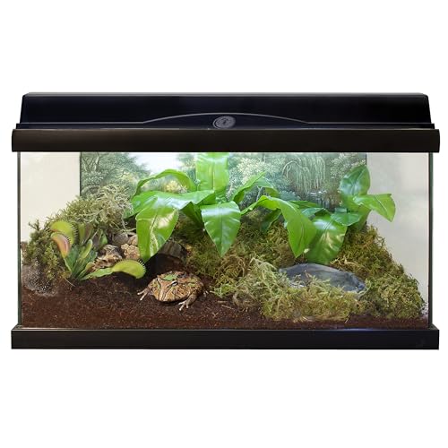 Zoo Med Eco Earth Loose Coconut Fiber Substrate | For Reptiles, For Amphibians, For Small Animals, For Insects, For Terrariums - size: 8 quart