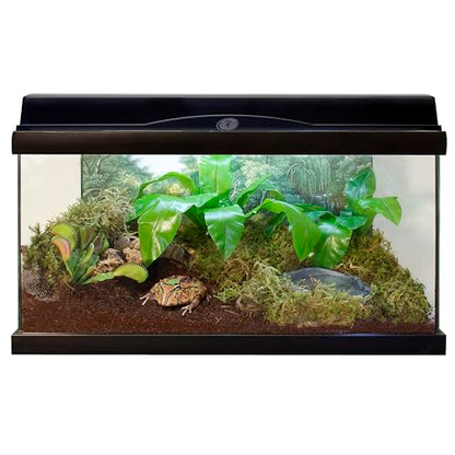 Zoo Med Eco Earth Loose Coconut Fiber Substrate | For Reptiles, For Amphibians, For Small Animals, For Insects, For Terrariums - size: 8 quart