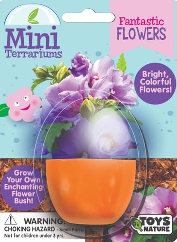 Toys By Nature Mini Terrarium Flowering Bundle, 100% USA Made Complete Starter Kit Includes 2 Each of Lobelia, Dixie Belle Hibiscus, Rose of Sharon, Easy to Grow Planting Seeds Just Add Water - color: Flowering Bundle