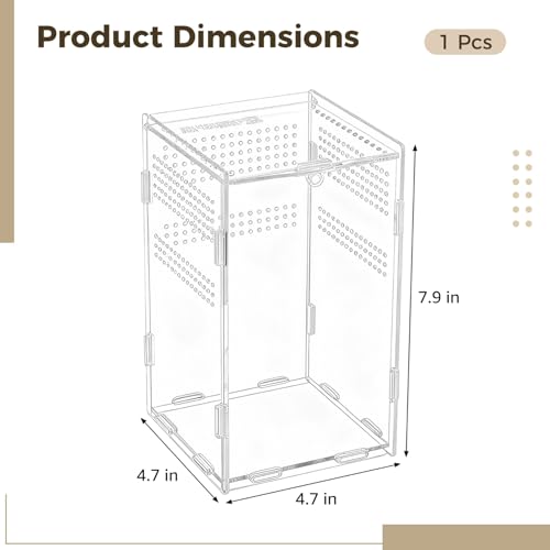 Acrylic Reptile Enclosure, 4.7x4.7x7.9 Inch Vivarium Terrarium for Gecko, Frogs, Fully Transparent Habitat with Optimal Ventilation, Front Opening Door for Easy Access