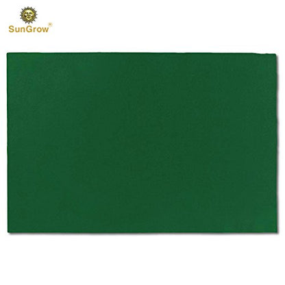 SunGrow, Reptile Mat, Terrarium Floor Liner, 30BR/40BR/50/65 Gallon, Substrate Carpet, Soft Bedding for Reptiles - Gecko, Lizard, Snake, Tortoise, Reptile Cage Tank Supplies & Accessories, Green, 1Pc