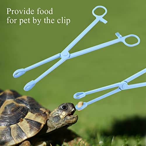 Reptile Feeding Tongs Blue Plastic Snake Lizard Clamps 24.5cm Wide Grip Safe Handling Tool for Pet Owners Breeders Amphibian Terrarium Enthusiasts