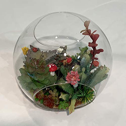 WGV Planter Terrarium Bulk, Width 6" Height 6", Clear Round Glass Vase Container with Two Side Opening, DIY Air Planter, Votive Candle Holder for Decor, 6 Pieces - size: 6" Double Opening