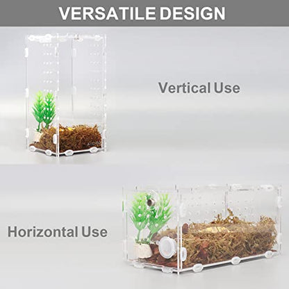 Aiicioo Micro Habitat Terrarium Enclosure 4x4x8 Inches Tarantula Enclosure Box Insect Habitat Clear Acrylic Reptile Feeding Tank for Jumping Spiders Insect Small Tree Dwelling Reptiles - size: 4x4x8 Inches