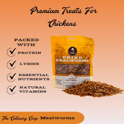 Fluker's Culinary Coop Premium Chicken Treats, Mealworms 10 oz, High Protein Worm, Nutritious Treat - size: 10 Ounce (Pack of 1)