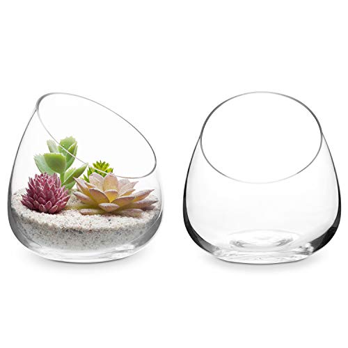 MyGift 5 Inch Premium Clear Glass Air Plant Terrarium, Mini Candy Bowl Jar, Tealight Candle Holder, Succulent Cactus Plant Vase, Set of 2 - size: Set of 2