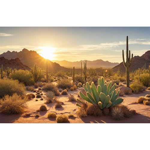Reptile Habitat Background Sunset Desert Tank Decors Saguaro Cactus Arid Mountain Range Terrarium Background Cacti Sand Dunes Aquarium Background Desert Mountain Fish Tank Background 24x16in - color: Orange, size: 24(W)x16(H)in