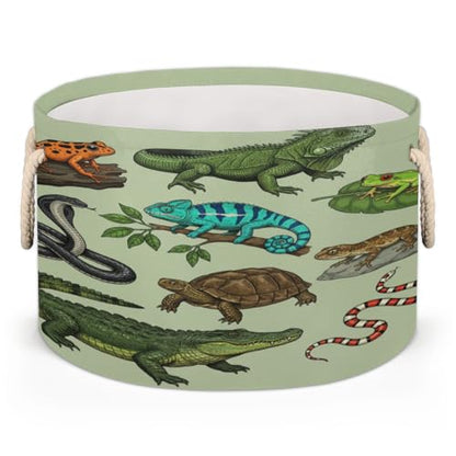 Large Storage Baskets - Reptiles Amphibians Nursery Round Organizer Bin Box with Handles, Collapsible Laundry Hamper for Kids Toys, Blanket, Bedroom Living Room Home Decor, Gift Basket