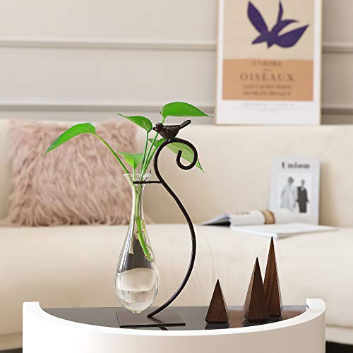 Marbrasse Desktop Glass Planter Hydroponics Vase,Planter Bulb Vase with Holder for Home Decoration,Modern Creative Bird Plant Terrarium Stand, Scindapsus Container (Water Drop Vase) - color: Water Drop Vase