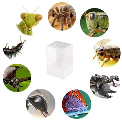 OMEM Reptile Breeding Box, Insect Incubator, for Orchid Mantis, African Phantom Mantis, Reptile Resting Habitat and Entertainment