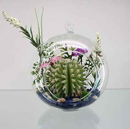WGV Hanging Terrarium Globe, Width 5", Height 6", DIY Air Succulent Planter, Clear Glass Vase Orb with Flat Bottom, Candle Holder for Windowsill Outdoor Garden Decor, 1 Piece - size: 5" Flat Bottom