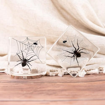 3pcs Taxidermy Spiders, Real Insect Bug Spiders Specimen in Resin, Clear Sealed for Closer-Look & Study in Healthy, Science Educational Classroom Specimens, Unique Amazing Gift (3.0x3.0x0.8-inch) - size: Medium 3PCS Spiders