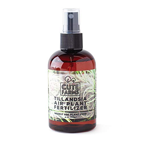Cute Farms Tillandsia Air Plant Fertilizer | Gentle Weekly Use Formula Plant Food | Formulated Nutrients for Air Plants (4 oz. Spray Bottle) - size: 4 oz. Spray Bottle
