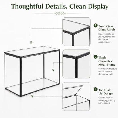 Small Glass Terrarium with Lid, Rectangle Geometric Planter Box, Clear Glass Container for Succulents, Moss, Air Plants, Ferns, Cactus, Tabletop Plant Display Decor, 6.7 x 3.9 x 4.7 in - size: Small Rectangle