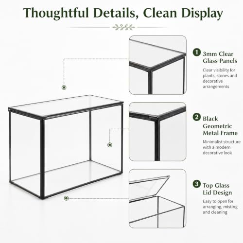 Small Glass Terrarium with Lid, Rectangle Geometric Planter Box, Clear Glass Container for Succulents, Moss, Air Plants, Ferns, Cactus, Tabletop Plant Display Decor, 6.7 x 3.9 x 4.7 in - size: Small Rectangle
