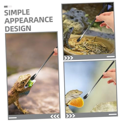 Toddmomy 3pcs Reptile Food Spoon Lizard Feeding Spoon for Wet Food Reptile Dish Tool Pet Supply