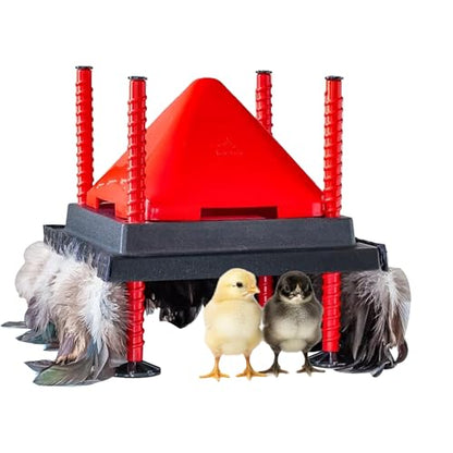 RentACoop 10x10” Heating Plate with Hard Anti-Roost Cone Set