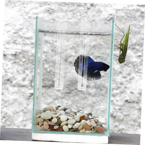 Adjustable Aquarium Hooks Set of 2 Plant Hangers for Fish Tank Reptile Basking Spot