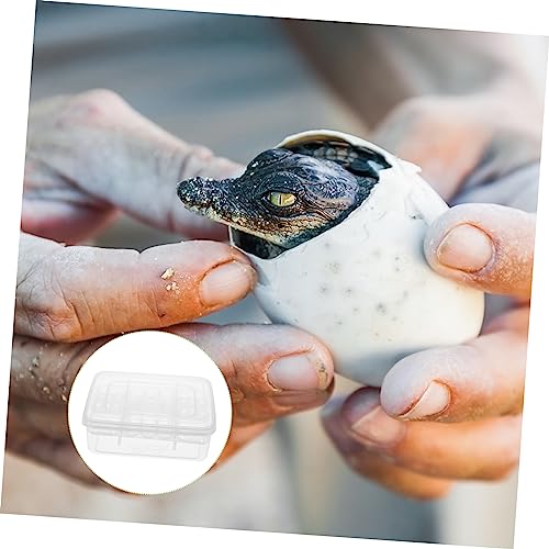 2pcs Reptile Hatching Breeding Box Compartments Transparent Incubation Tray for Easy Observation Reusable and Easy to Clean Reptile Tool for Lizards and Snakes