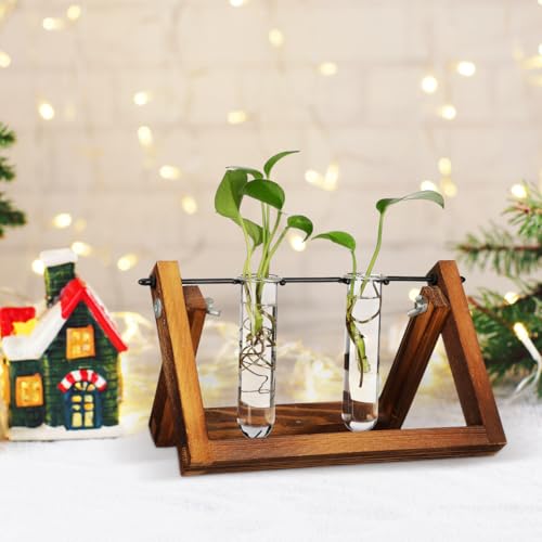 5PCS Glass Tubes for Plants, Propagation Tubes for Plants | Glass Test Pipe Vase for Scientific Experiments, Desktop Party Home Office Decor, Flowers Desktop, Indoor Hydroponic Station