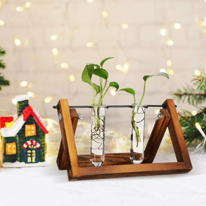 5PCS Glass Tubes for Plants, Propagation Tubes for Plants | Glass Test Pipe Vase for Scientific Experiments, Desktop Party Home Office Decor, Flowers Desktop, Indoor Hydroponic Station