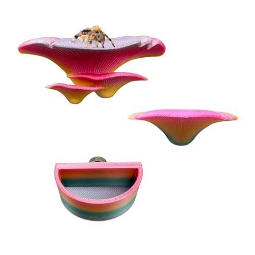 2 Pack Jumping Spider Accessories Mushroom Ledges & 1 Pack Water Bowl with Magnets for Spoods Jumping Spiders Magnetic Ledge Ladder Pet Spider Accessories (Not Included The Terrarium) (colorful) - color: colorful