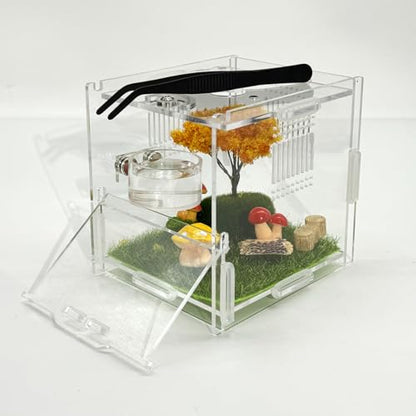 Jumping Spider Feeding Dish Set, Magnetic Water Bowl, Reptile Feeding Tongs, Jumping Spider Enclosure Accessories