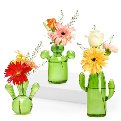 XXXFLOWER Cactus Plant Propagation Station 3 Cactus Vase Terrarium Jars | Desk Plant Cuttings Plant Holders Unique Glass Flower Vase for Hydroponics Plants for Plant Lovers Home Garden Decor - size: 3PCS Cactus Vase