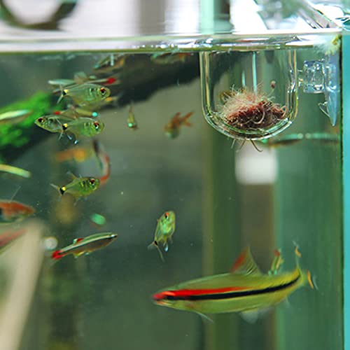 Aquarium Red Worms Feeder Live Insect Container Strong Suction Cup Feed for Small Tropical Fish (Glass Slit Cup)
