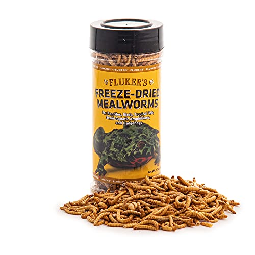 Fluker's Freeze Dried Insects, Nutrient, Packed Mealworms, Ideal for Lizards, Reptiles, Birds, Fish, Hedgehogs, 1.7 oz