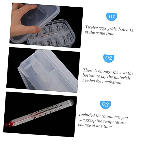 BESPORTBLE Compartments Reptile Egg Incubator Tray for Hatching Lizards and Geckos Durable Breeding Box with Temperature Gauge Efficient Egg Holder for Reptile Hatchery