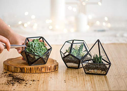 Mkono 3 Pack Geometric Glass Terrarium, 4" Black Air Plant Holder Tabletop | Modern Centerpiece Decor, 3 Shapes Metal Frame, Fits Succulent Moss Fairy Garden Shelf Coffee Table, Plants Not Included - color: Black
