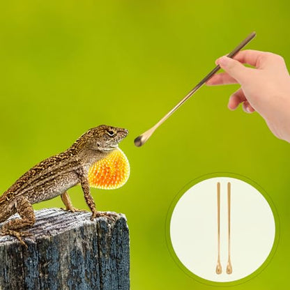 POPETPOP Pet Food Feeding Spoon Set Lizard Scoop for Food Spoon Mini Easy Handling - color: As Shown 3