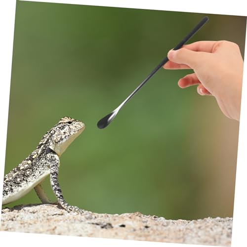 2pcs Stainless Steel Feeding Spoon for Reptiles Small Animal Lizard Pet Food Scoop Tool
