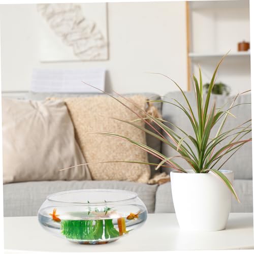 POPETPOP 2pcs Transparent Plastic Fish Bowl Aquarium Desktop Tank for Goldfish Turtles Small Reptiles Home Office Decor Unbreakable Breeding Container