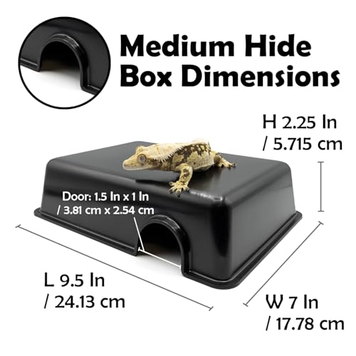 Pangea Reptile Hide Box (C- Medium), Black | Fits Most Standard Rack Units, Usable as Snake Tank Accessories, Good for Ball Python, Boas, Leopard Geckos, Kingsnake - size: C- Medium