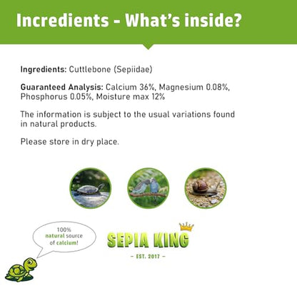 Sepia King - Extra Large - 100% Natural Calcium Supplement - Premium Cuttlebone Perfect for Birds, Tortoises, Snails, Reptiles - Pack of 3