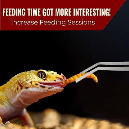 CoCoo Feeding Tongs for Reptiles, Stainless Steel Tweezers, 1 Straight Tip Nipper & 1 Curved Serrated Forcep, Feeds Mealworms, Crickets to Snakes, Geckos, Lizards, Tarantulas, 2pc