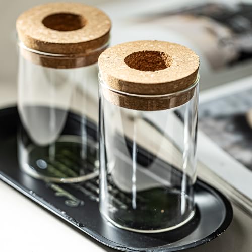 Glass Plant Propagation Station Set of 6, Modern Desktop Flower Vase for Succulent Cuttings, Home Office Decoration, Ideal Housewarming Gift for Living Room, Bedroom